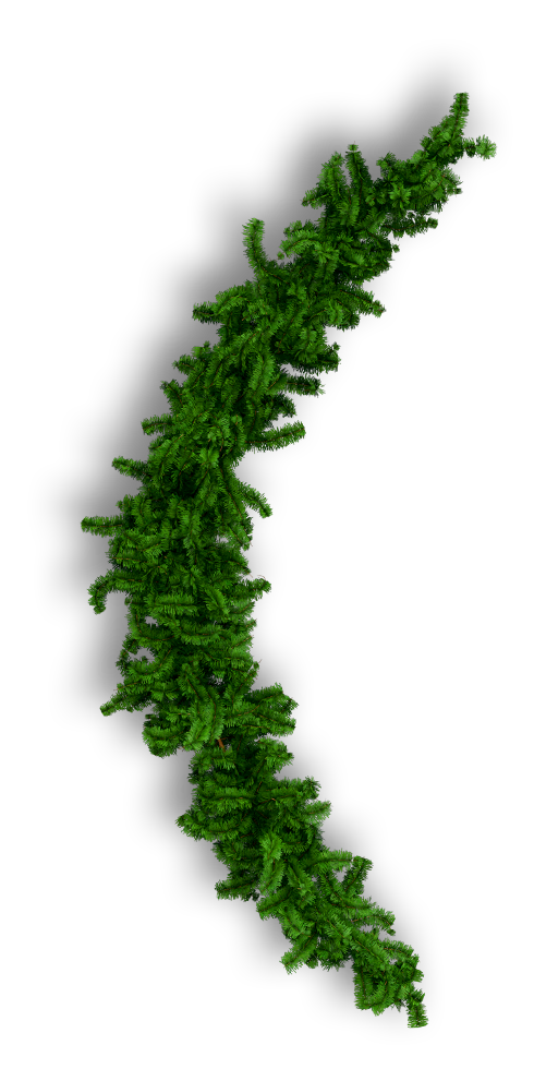 plants